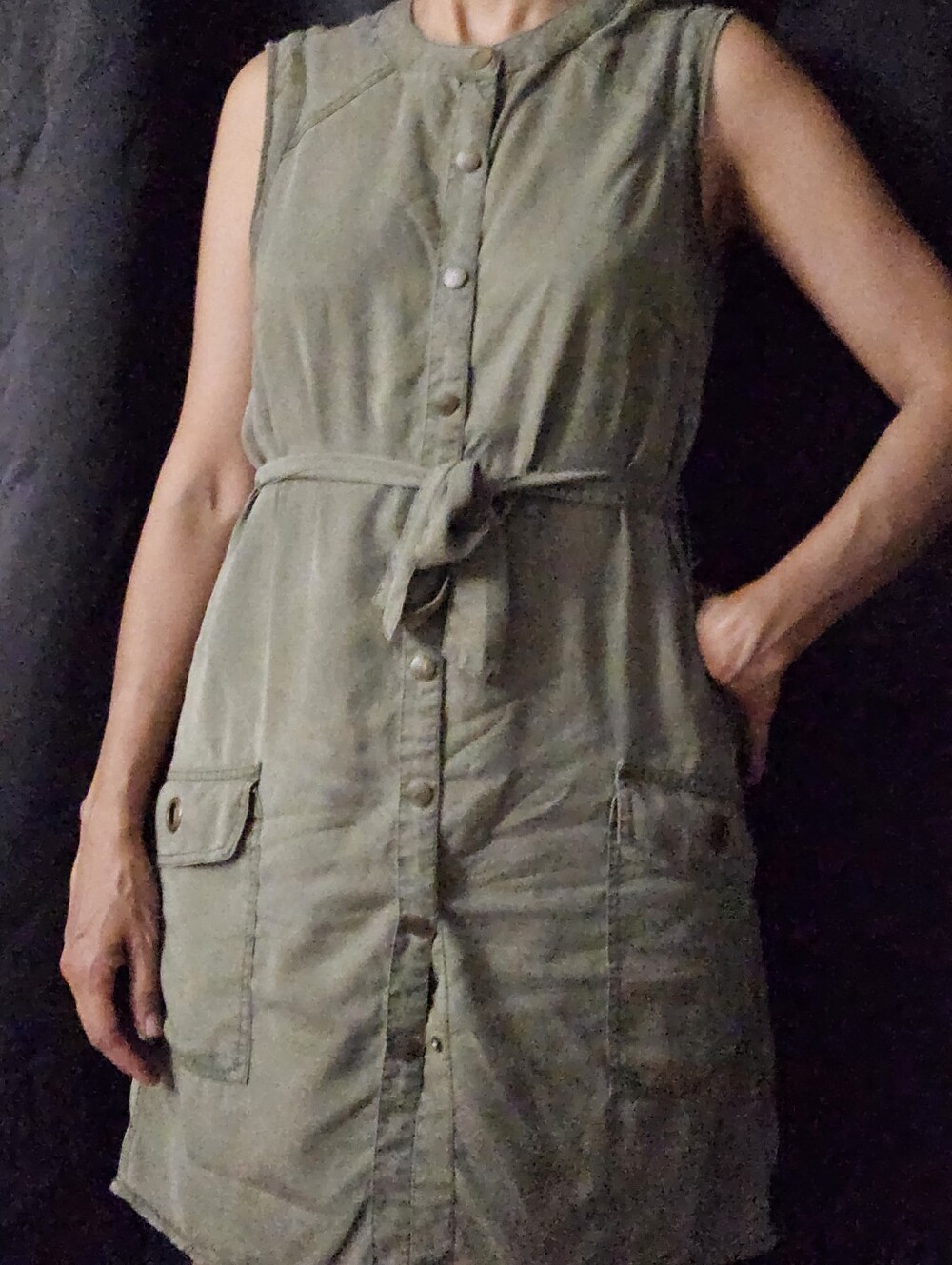 Dalia Sleeveless Button-Front Utility Dress in Olive